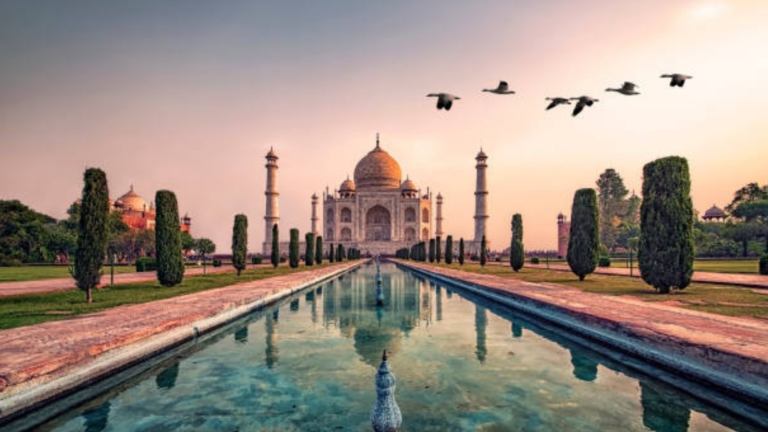 taj-mahal-itd