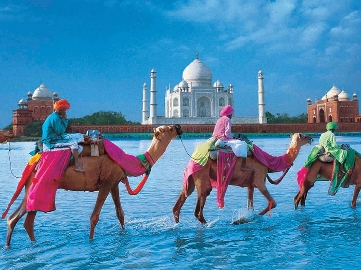 taj-mahal-camel-india-travel-diaries-about-us